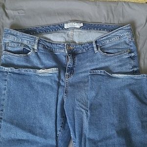 Torrid Bootcut jeans